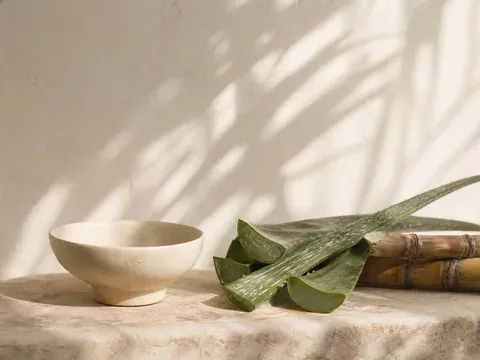 Aloe vera and sugar cane, the natural ingredients in organic tanning solution