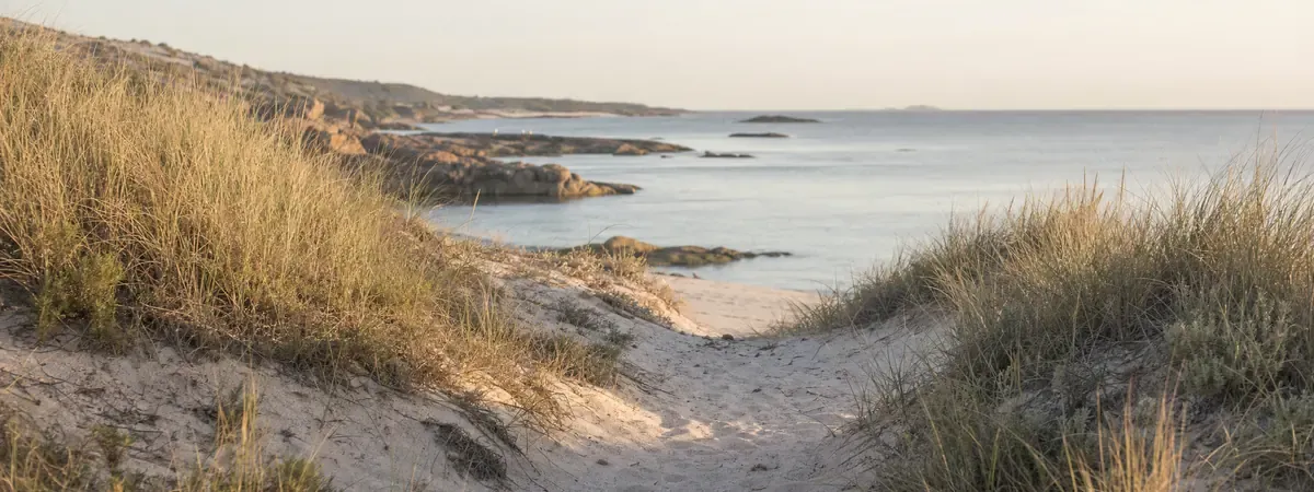 A quiet beach cove and dune path on a calm morning