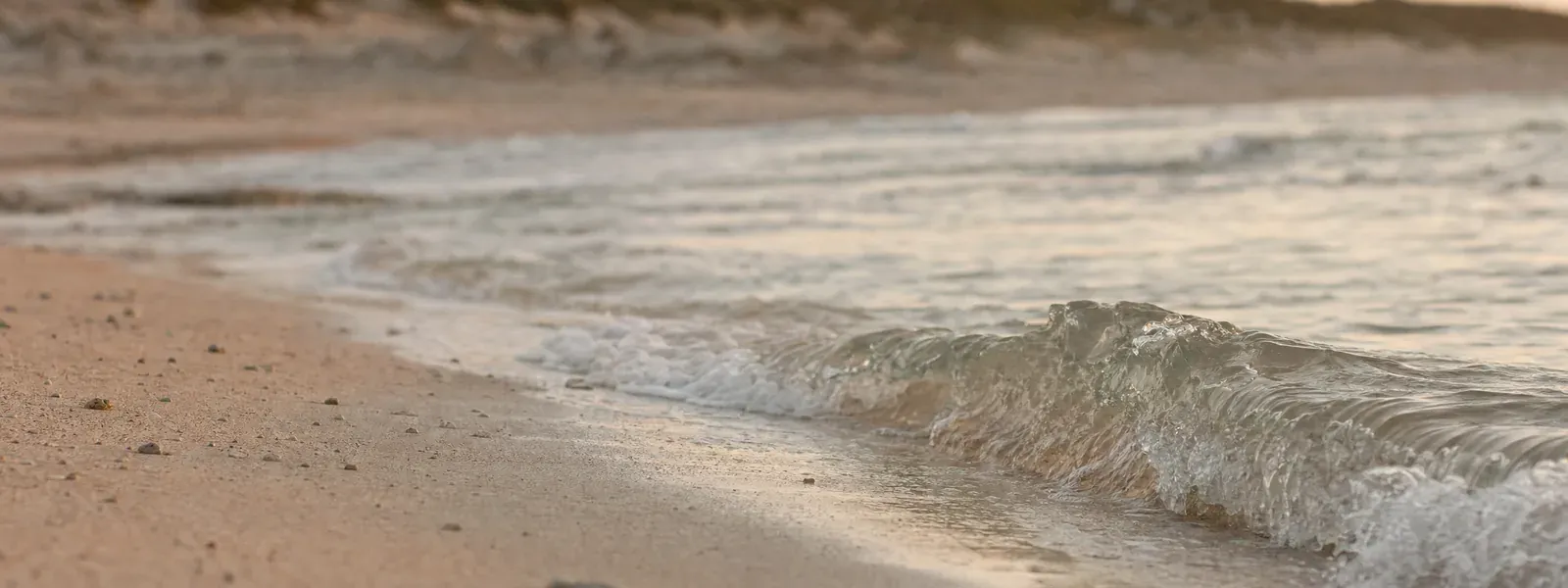 A gentle shorebreak folding onto smooth sand in warm evening light