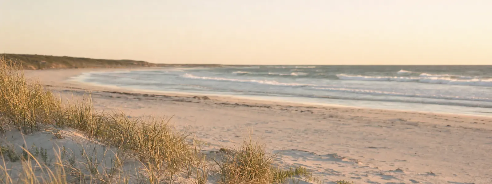 Golden-hour surf beach and dune grasses near Secret Harbour