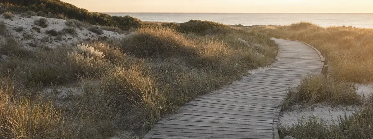 A timber boardwalk winding through dunes toward the ocean at sunset