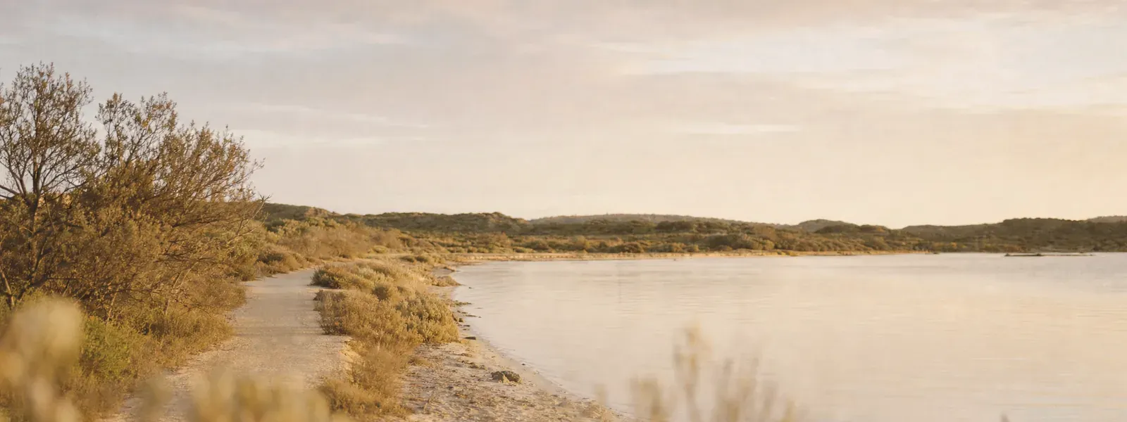 A sheltered sound at golden hour with a foreshore path through coastal scrub